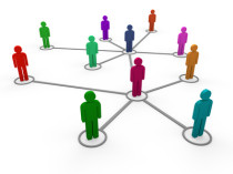 3d network team color